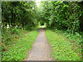 Stockbridge -The Test Way Footpath