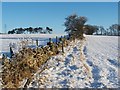 Dry-stone wall