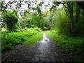 Stockbridge - The Test Way Footpath