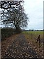 Track leading off Copse Lane