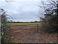 Gate in Copse Lane