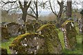 All Saints, Burton Dassett: churchyard