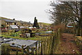 Allotments between the houses