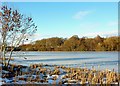 Bertha Loch frozen