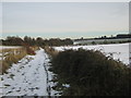 Footpath to Kelk Hill woods