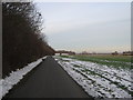 Buckland Lane past Long Wood