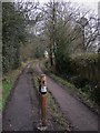 Bridleway from Chiddingfold to Dunsfold