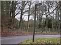 Bridleway off Chiddingfold Road seen from footpath