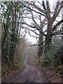 Sussex Border Path to Rowland Farm