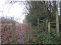 Sussex Border Path enters an orchard near Delmonden Road