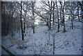 Wooded cutting near Crumpsall