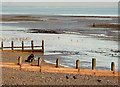 Low tide at East Worthing, West Sussex