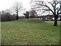 Mound between Livale Court and Ribble Walk, Bettws, Newport