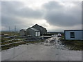 Higher Side Beet Farm