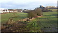 Hillside fields below Bolsover castle