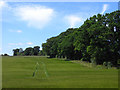 Farmland, Shoddesden, Kimpton