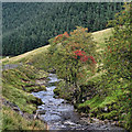 River Coquet