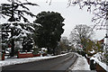 Snow in Leigham Court Road