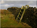 Stile and wall on Great Edge