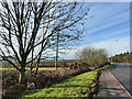 Road scene at lay-by near Pwll-trap