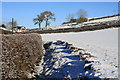 Ditch at  Trabeattie