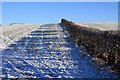 NY0376 : Frozen field edge by Colin Kinnear