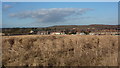 View towards Langwith from  the south