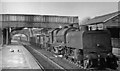 Elstree Station, with a Garratt on an Up coal train