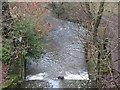 Weir on the Biddulph Brook