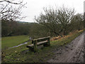 SJ8861 : Muddy track with wooden bench by Stephen Craven