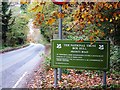 TQ1851 : Entering Box Hill National Trust from Boxhill Road by Chris Slade