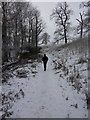 Footpath in the grounds of Waddow Hall