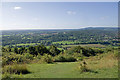 View from east of Box Hill