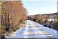 Minor road near Bunchrew