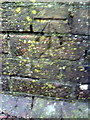 Benchmark on parapet of railway bridge on Poundbury Road