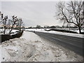 Keen walker near Morpeth