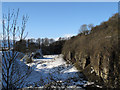 Frosterley Quarry