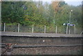 Platform, Crowhurst Station