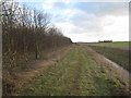 Footpath between the plantation and Kelfield Catchwater