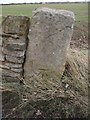 SE5415 : Gatepost with a Bench Mark by Matthew Hatton