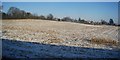 Snow covered field on the edge of Mancetter