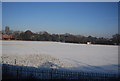 Cleaver Park Recreation Ground, in the snow, Nuneaton