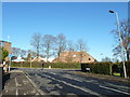 Looking from Primrose Road into Violet Road