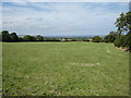 Field  view  to  the  Coast