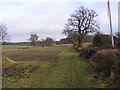TM3568 : Footpath to the A1120 Yoxford Road & Green Road by Geographer