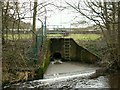 Outlet from Cheese Bottom Waste Water Treatment Works