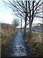 Footpath from Balfour Street to Lyndon Avenue