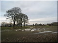 Waterlogged field near Becks Lane Farm