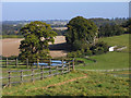 Farmland, Farringdon