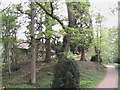 Okewood church, from the valley of the brook